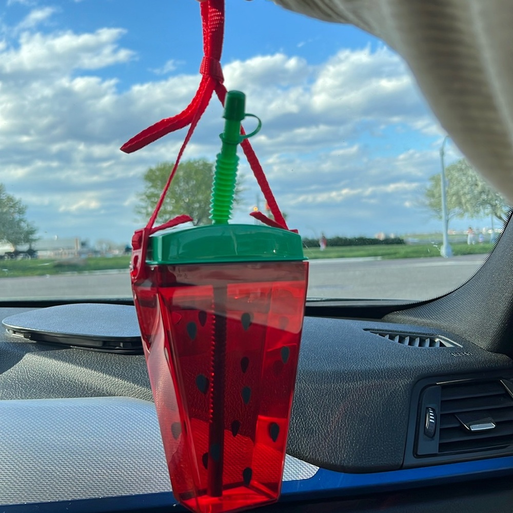 Red watermelon tumbler with straw and